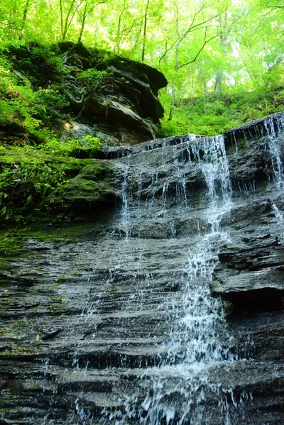 DSC_2789 (Large).JPG